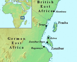zanzivari12 zanzivari12