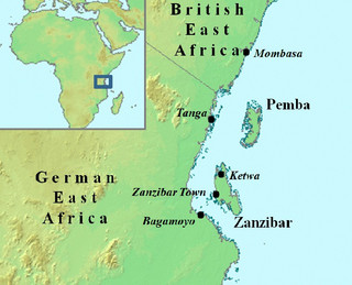 zanzivari12