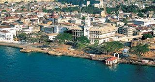 zanzivari7 zanzivari7