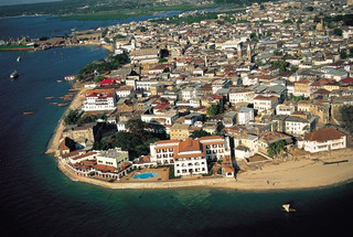 zanzivari8 zanzivari8