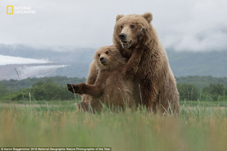 NationalGeographic10 NationalGeographic10