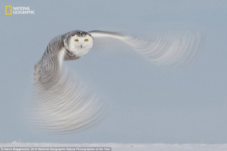 NationalGeographic11 NationalGeographic11