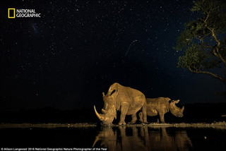 NationalGeographic13 NationalGeographic13