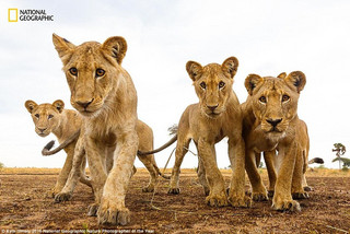 NationalGeographic3 NationalGeographic3