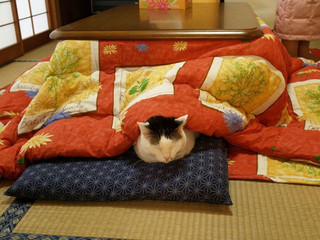 heating-table-bed-kotatsu-japan-8