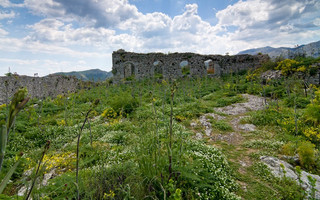 karitena5