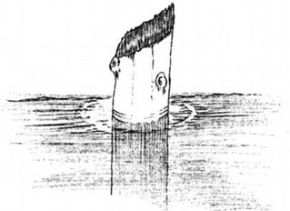 mysterius4