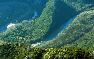 nestos6