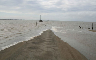paliroia3