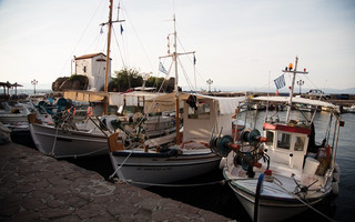 skala1 skala1
