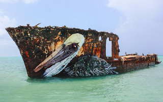 skoupidia6