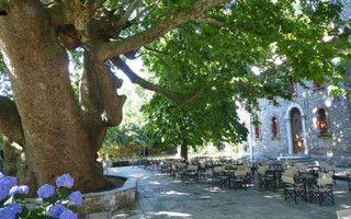 ΤΣΑΓΚΑΡΑΔΑ ΠΗΛΙΟ ΤΣΑΓΚΑΡΑΔΑ ΠΗΛΙΟ