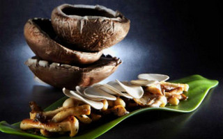 uadyatdra3