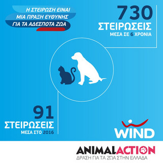 ANIMALACTIONWIND