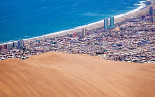 argentinamolofos3
