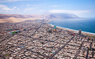 argentinamolofos4
