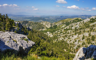 ΕΥΒΟΙΑ ΔΙΡΦΥΣ