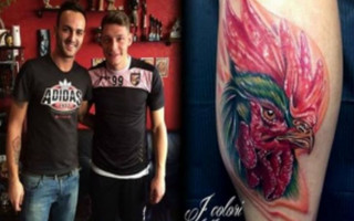 gallo-tattoo-01