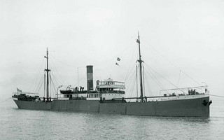 goulandris1
