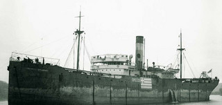 goulandris8