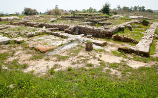 ieraigp6