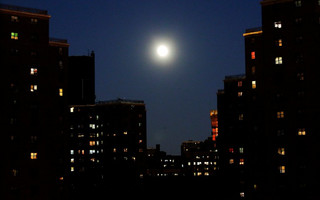 moon9 moon9