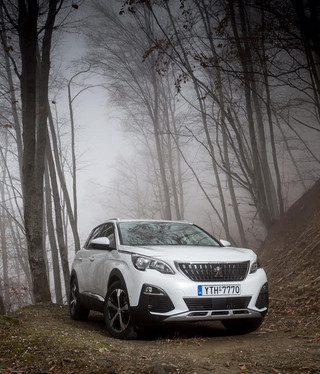 peugeot30088