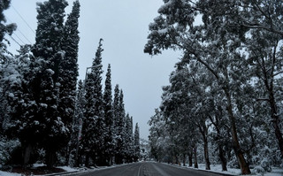 ΧΙΟΝΙΑ ΑΘΗΝΑ