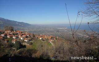 pieria22