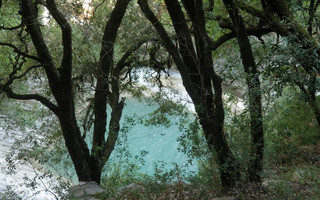 ΚΑΤΑΡΡΑΚΤΕΣ ΤΡΥΦΟΥ ΑΙΤΩΛΟΑΚΑΡΝΑΝΙΑΣ