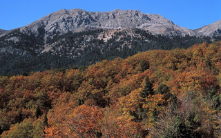 ΖΗΡΕΙΑ