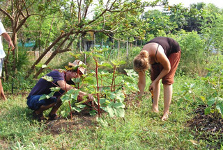 Buddha-garden-group-2