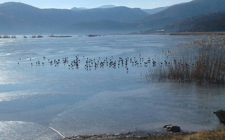 kastoria1