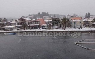 lamiaxionia3
