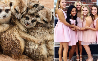 sourphotd1 sourphotd1