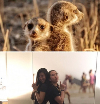 sourphotd10 sourphotd10