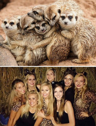 sourphotd11 sourphotd11