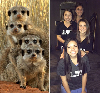 sourphotd2 sourphotd2