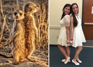 sourphotd3 sourphotd3