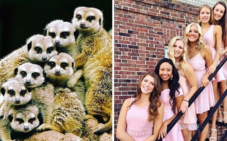 sourphotd4 sourphotd4