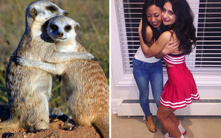 sourphotd5 sourphotd5