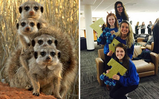 sourphotd6 sourphotd6