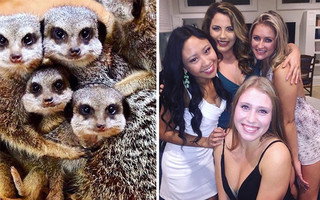 sourphotd7 sourphotd7