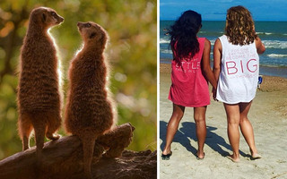 sourphotd8 sourphotd8