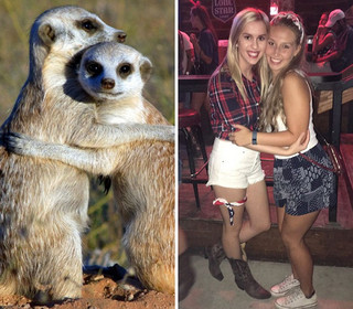 sourphotd9 sourphotd9