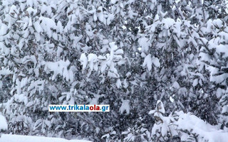xionoptwshtrikala5