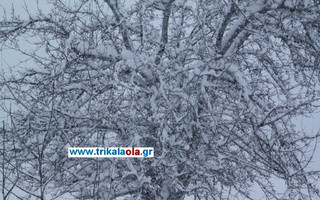 xionoptwshtrikala6