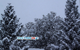 xionoptwshtrikala8