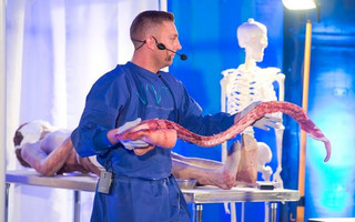 antrrkkia1 antrrkkia1