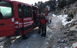 diasosisfakia2